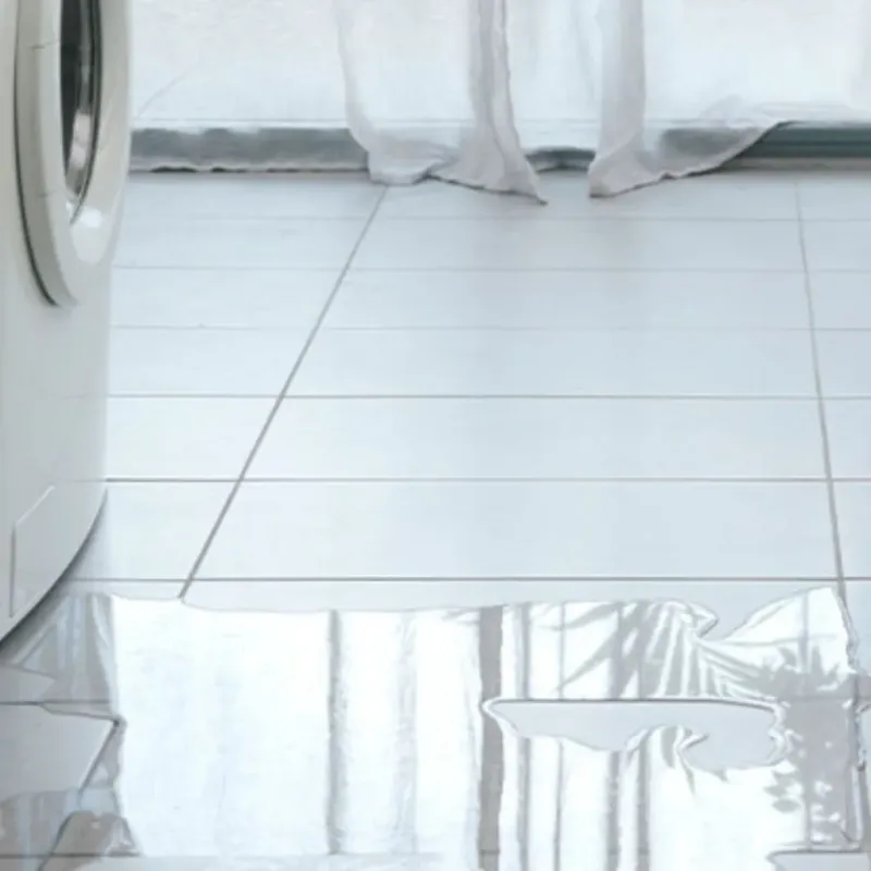 Appliance Leak Cleanup in Pacific Grove, CA